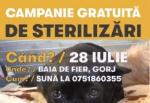 Sunt vizate atât animalele cu stăpân, cât și cele fără stăpân