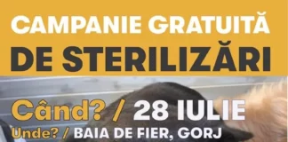 Sunt vizate atât animalele cu stăpân, cât și cele fără stăpân