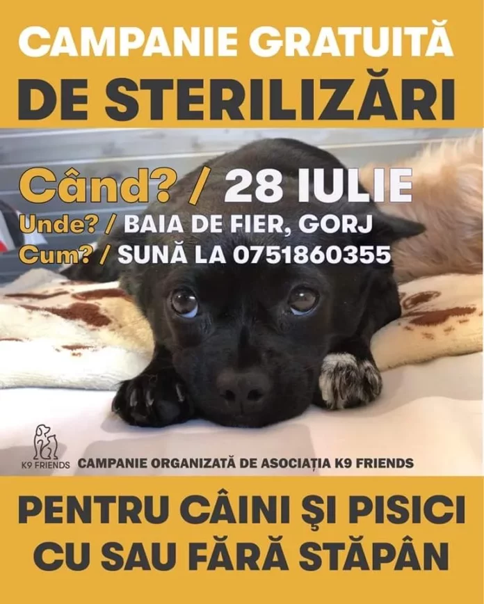 Sunt vizate atât animalele cu stăpân, cât și cele fără stăpân