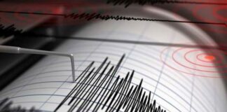 Seismul din Gorj a avut trei replici