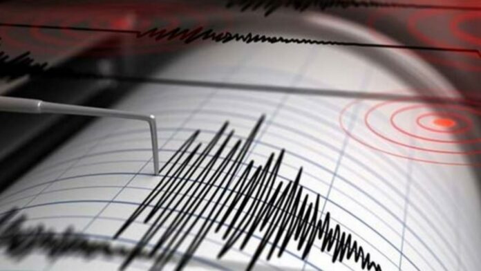 Seismul din Gorj a avut trei replici