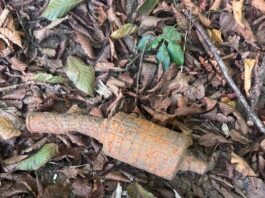 Grenadă defensivă găsită într-o pădure din Arcani