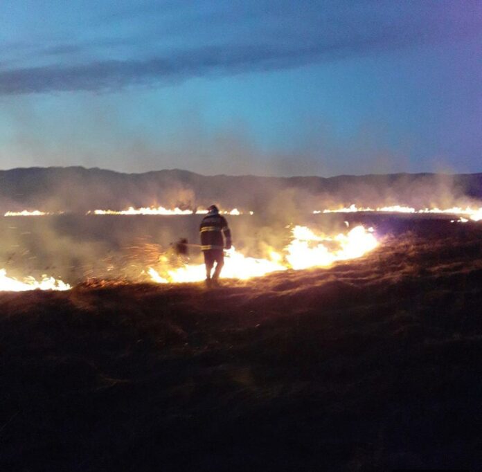 Gorj: Pompierii intervin la două incendii de vegetație uscată