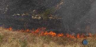 Incendii de vegetație uscată în 6 localități din Gorj