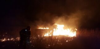 Incendiu de vegetație uscată la Stănești