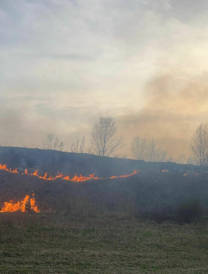 Incendiu de vegetație uscată la Stoina