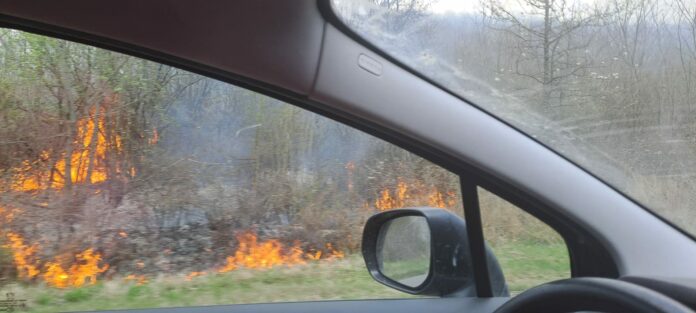 Gorj: Incendiu de vegetație uscată în comuna Licurici