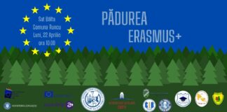 Pădurea Erasmus+ din județul Gorj