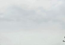 Gorj: Un bărbat care circula pe o trotinetă, accidentat mortal la Turceni Gorj: Un bărbat care circula pe o trotinetă, accidentat mortal la Turceni