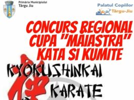 Concurs regional de karate 