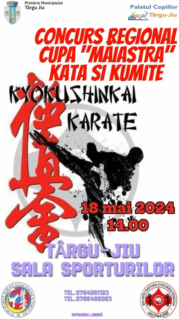 Concurs regional de karate 