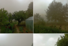 09:00 Bankwatch cere noi controale la Termocentrala Turceni