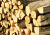 Gorj: Polițiștii au confiscat sute de metri cubi de lemn de la un depozit din Bengești-Ciocadia