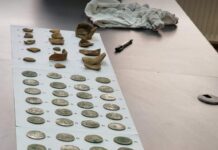 Zeci de monede din aur și argint, găsite într-o pădure din Turceni