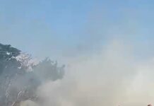 Pompierii gorjeni intervin la patru incendii de vegetație uscată