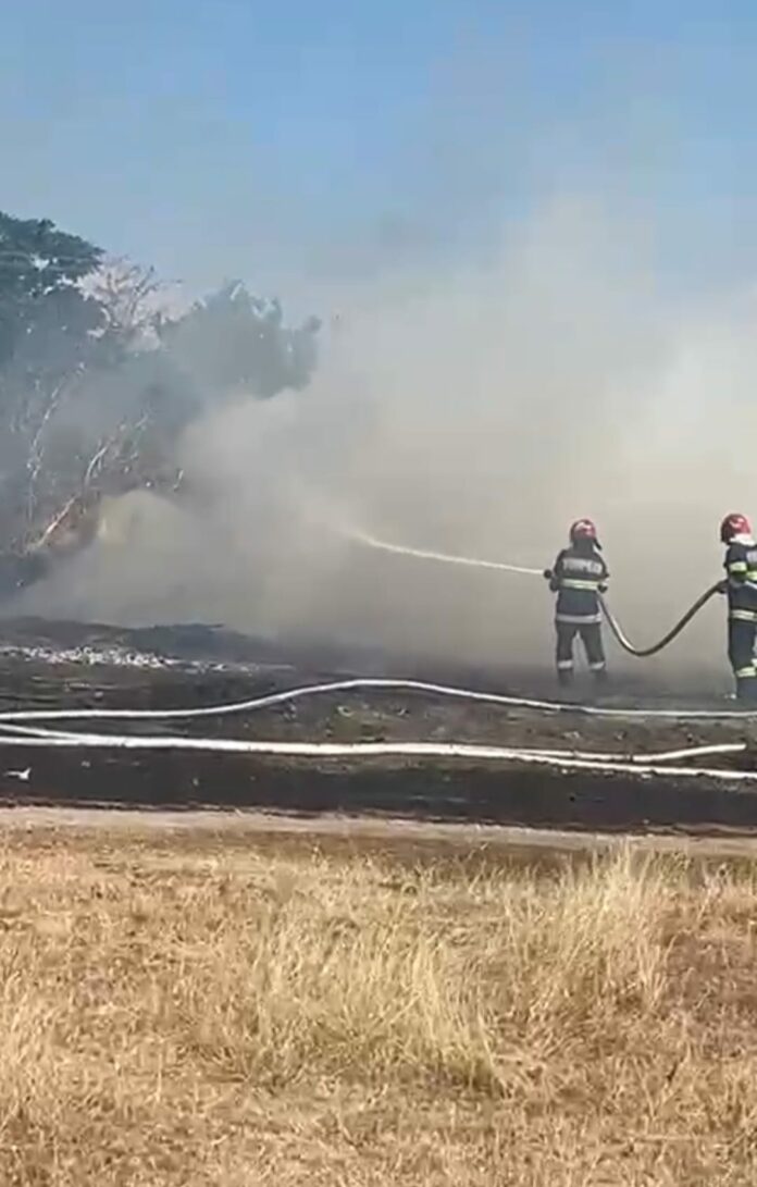 Pompierii gorjeni intervin la patru incendii de vegetație uscată