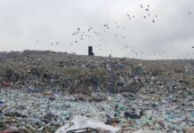 Licitație de 32 de milioane de euro pentru salubrizarea localităților din Gorj Licitație de 32 de milioane de euro pentru salubrizarea localităților din Gorj