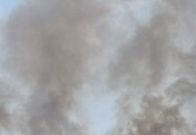 Gorj: Incendiu de vegetație uscată la Lăzărești