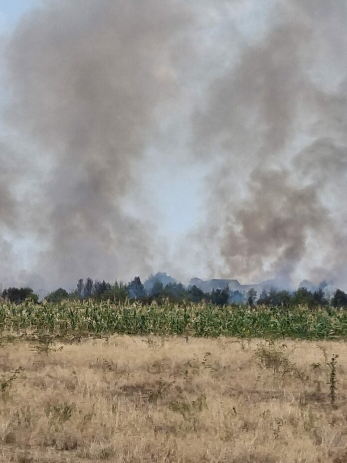 Gorj: Incendiu de vegetație uscată la Lăzărești