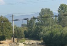 Patru râuri din apropierea orașului Târgu Jiu sunt complet secate Patru râuri din apropierea orașului Târgu Jiu sunt complet secate