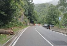 Camere de supraveghere în Parcul Național „Defielul Jiului” Tone de gunoi au fost ridicate din Defileul Jiului