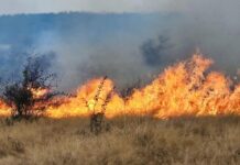 Patru incendii de vegetație uscată, în desfășurare în Gorj