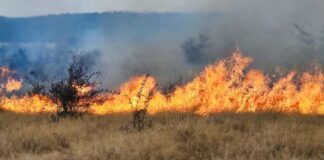 Patru incendii de vegetație uscată, în desfășurare în Gorj