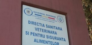 Gorj: O firmă care livrează mâncare elevilor, amendată de inspectorii veterinari