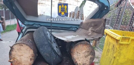 Bărbatul avea încărcată în autoturism cantitatea de 0,9 mc de material lemnos