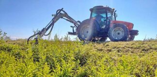 Controale la Rovinari la proprietarii de terenuri care nu elimină ambrozia