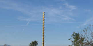 Doina Lemny, expert de talie mondială, va face parte din Comitetul de organizare UNESCO pentru „Ansamblul monumental realizat de Constantin Brâncuși la Târgu Jiu”