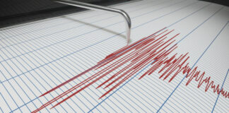 09:31 Cutremur slab în Gorj blank