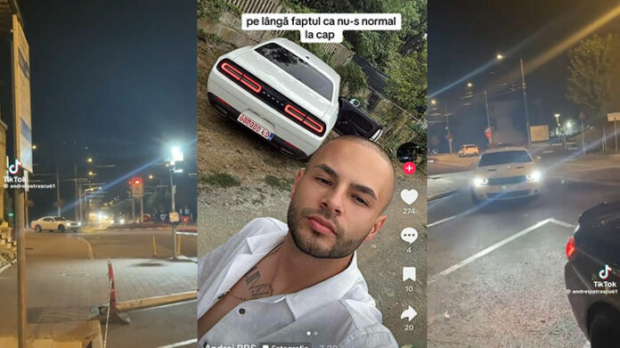 fst-v2colaj.jpg blank