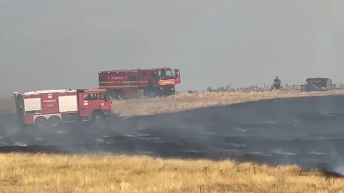 incendiu-Preajba.jpg blank