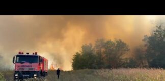 (VIDEO) Mehedinţi: Incendii de vegetaţie uscată la Vânjuleţ, Burila Mică şi Hinova. Vin în sprijin pompieri din Gorj şi Dolj