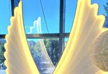 Gorj: Campania „Pe aripile legii” a fost lansată