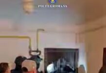 (VIDEO) Tinerețe periculoasă: proxenetism și condus fără permis. Este anchetă la Târgu Jiu