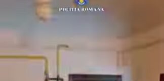 (VIDEO) Tinerețe periculoasă: proxenetism și condus fără permis. Este anchetă la Târgu Jiu