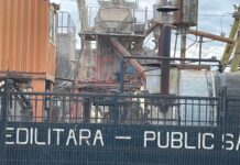 Stănoiu: Nu am încercat să stopez activitatea Edilitara blank