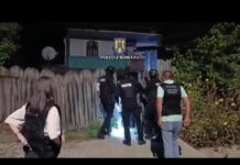 (VIDEO) Gorj: Percheziții într-un dosar de înșelăciune și fals în declarații