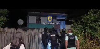 (VIDEO) Gorj: Percheziții într-un dosar de înșelăciune și fals în declarații