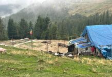 Scandal din cauza unei stâne, la Baia de Fier. Consilier: ”Am făcut solicitare către Secretariatul General al Guvernului” blank