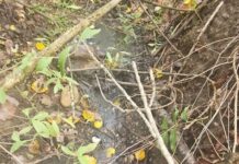 09:16 Firmă din Târgu-Cărbunești, amendată de Garda de Mediu blank