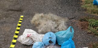 Doi bărbați din Plopșoru, reținuți pentru braconaj piscicol