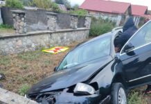 A intrat într-un cap de pod încercând să evite doi câini blank