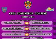 Cupa ”Comunelor Gorjene” la minifotbal. Echipele care vor juca în optimile de finală blank