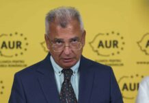 Dongfang, din China, șansa centralei pe gaze de la Turceni? Petrișor Peiu: Guvernul României s-a plasat într-o situație cel puțin delicată