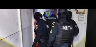 (VIDEO) Bărbat bătut în fața casei la Mușetești – percheziții efectuate de polițiștii gorjeni