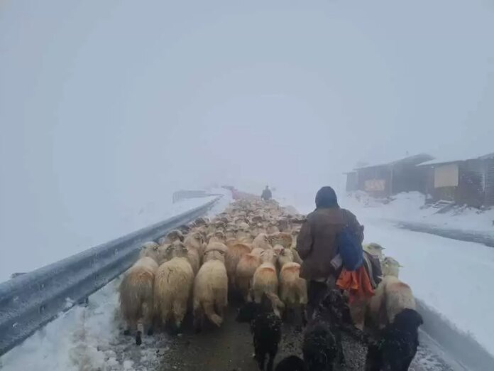 whatsapp-image-2025-10-09-at-11-25-22-1.jpg blank