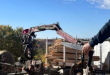 Gorj: Polițiștii din Novaci au confiscat peste 50 mc de lemn de foc